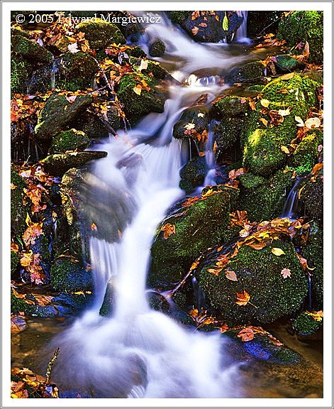 660122   Cascading stream, SMNP 